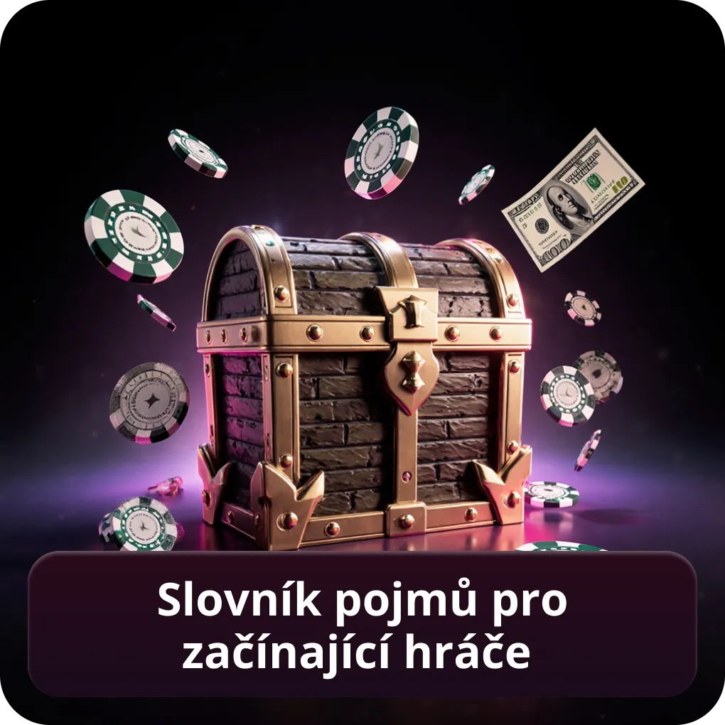 Slovník pojmů pro začínající hráče